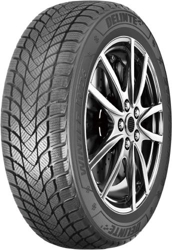 Зимние шины Delinte Winter WD6 265/45 R21 104H